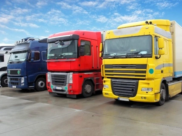 İzmir Domaniç Nakliye